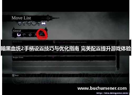 暗黑血统2手柄设置技巧与优化指南 完美配置提升游戏体验