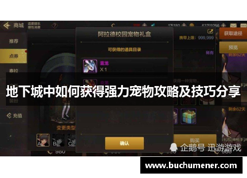 地下城中如何获得强力宠物攻略及技巧分享